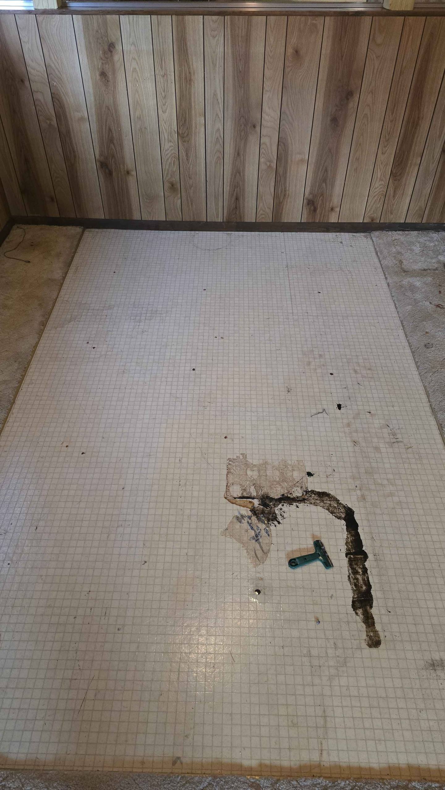 Hard floor deep-clean, ground-in soil lifted — before