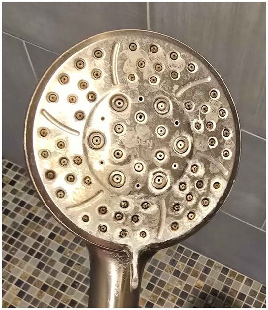 Handheld shower head, hard-water deposit removed — before